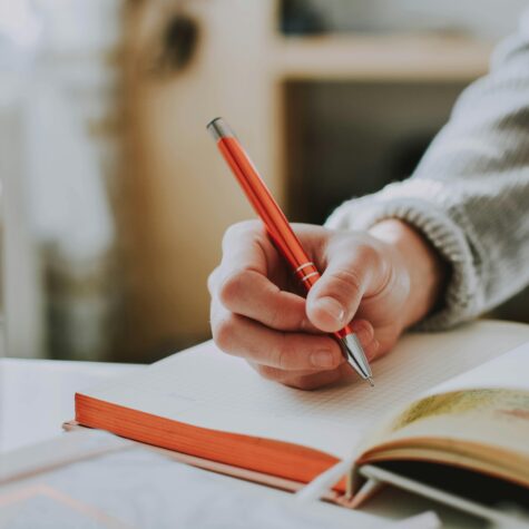 FDV Informed Case Planning and Case Management