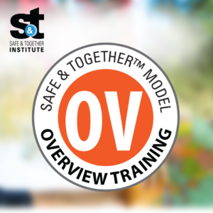 Safe and Together™ Overview Day