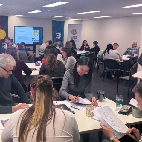 Working with men who use violence (CHCDFV009)