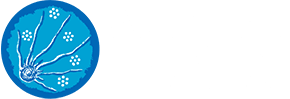 Aboriginal Health Council of WA Logo
