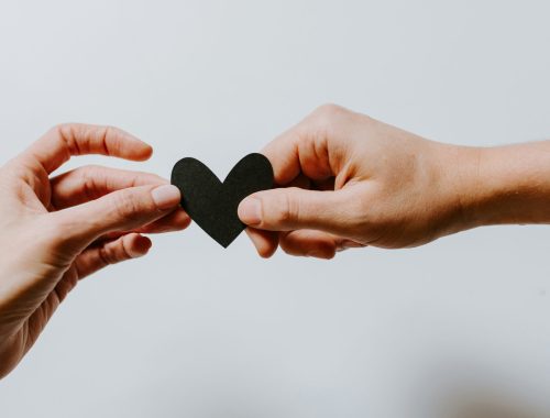 kelly-sikkema-4le7k9XVYjE-unsplash-min